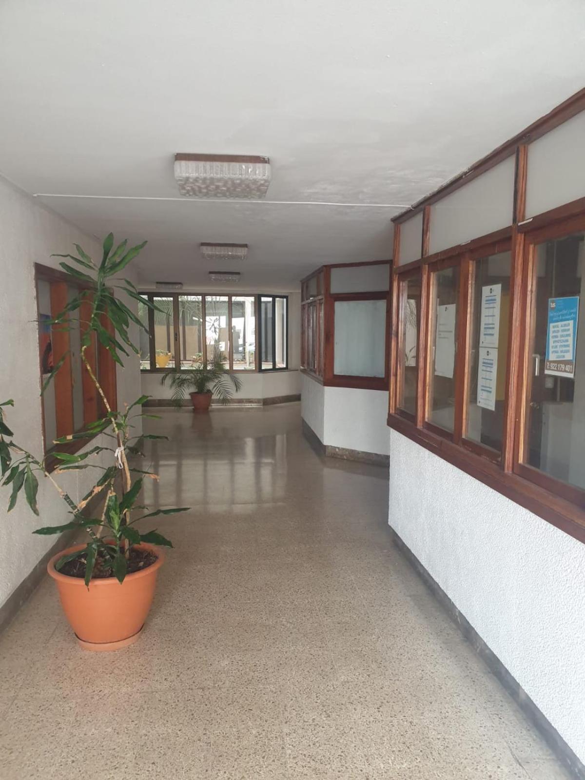 Gold Oasis Apartment El Medano  Bagian luar foto